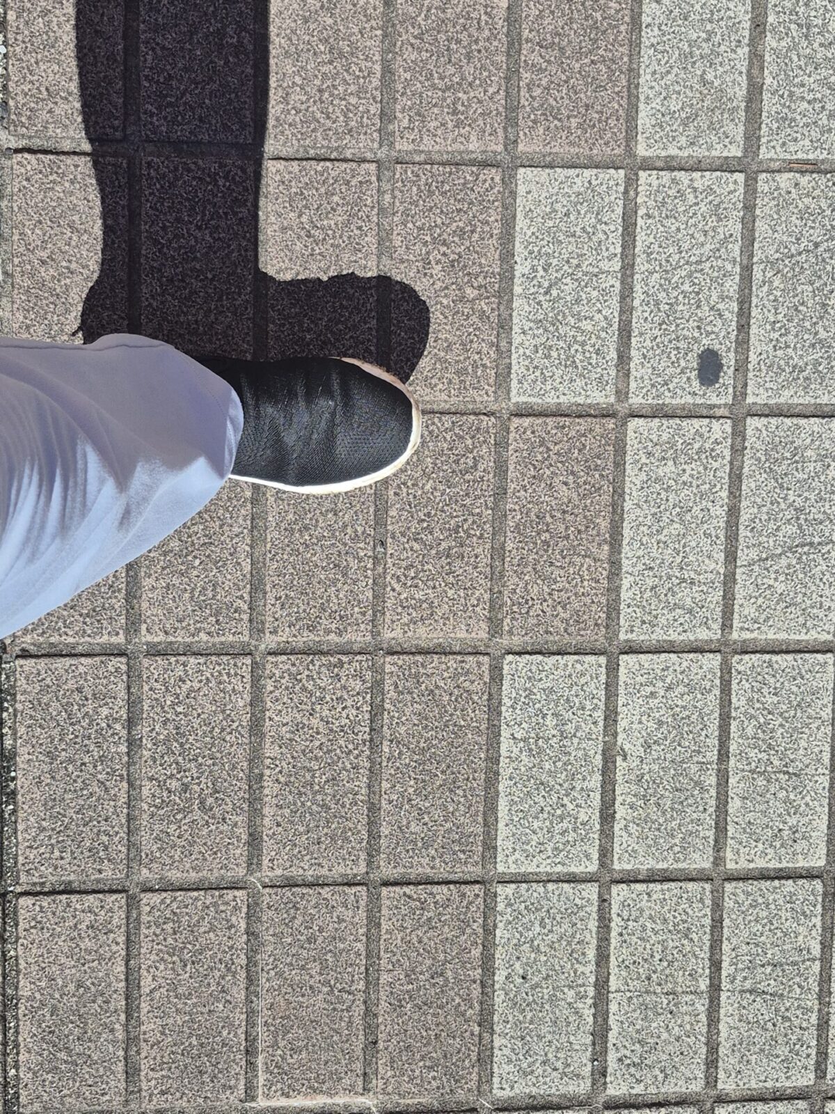 伝統武道天道館
仲宗根　朋成
