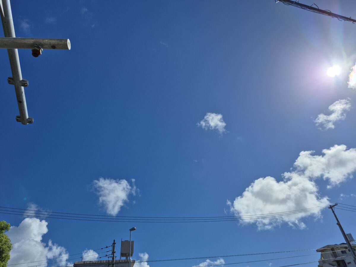 伝統武道天道館
仲宗根　朋成