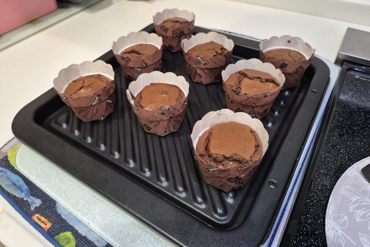 Dento Budo　Tendokan
Nakasone Tomonari
Brownies