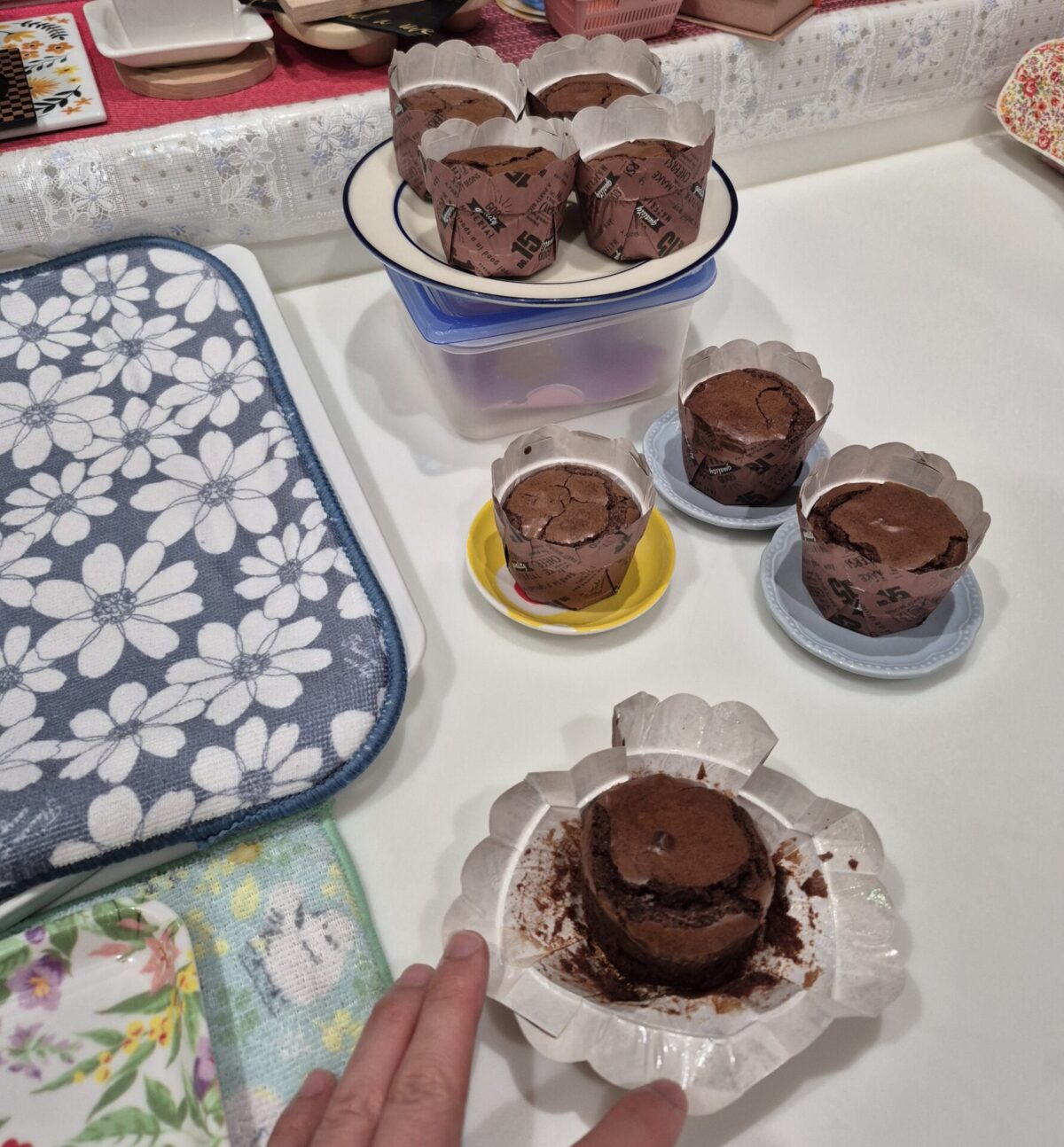 Dento Budo　Tendokan
Nakasone Tomonari
Brownies