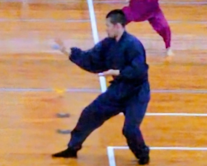 Nakasone Tomonari
Tai Chi